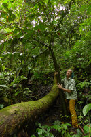 Patrick Blanc holding the huge blackish petiole of Amorphophallus titanum in habitat, Bukittinggi, West Sumatra, Dec. 2016