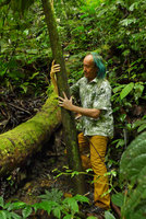 Patrick Blanc holding the huge petiole of Amorphophallus titanum in habitat, Bukittinggi, West Sumatra, Dec. 2016