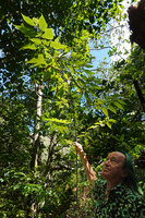 Patrick Blanc holding the main stem of Cypholophus decipiens, Roches de la Ouaieme, New Caledonia, Aug. 2023.