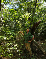 Patrick Blanc holding the main stem of the tall shrubby Cypholophus decipiens, Roches de la Ouaieme, New Caledonia, Aug. 2023