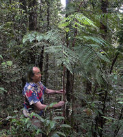 Patrick Blanc holding the narrow stipe of the small tree fern Alsophila acrostichoides, Horale, Seram, Moluccas, April 2024