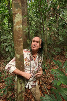 Patrick Blanc holding the shiny black barbed roots of the new Cercestis species, Ebodje, Campo, Cameroon, March 2018