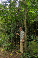 Patrick Blanc holding the single spike inflorescence of Caryota monostachya, Nam Cang, Sapa, Vietnam, Nov. 2017