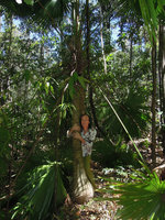 Patrick Blanc holding the stipe of Livistona rotundifolia, Tangkoko, Sulawesi, Aug. 2015