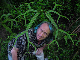Patrick Blanc immersed within a branched frond of Dicranopteris linearis, Penrissen Range, Padawan, Sarawak, Borneo, Oct 2014