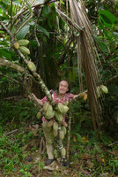 Patrick Blanc in a cocoa plantation, Madang, Papua New Guinea, March 2016