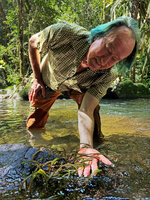 Patrick Blanc in a fast flowing forest stream to show the small long much divided cylindrical leaves of Hydrostachys verruculosa, Mantadia NP, Madagascar, Aug. 2024