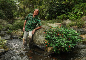Patrick Blanc in a fast flowing stream among rocks covered by the rheophytic Impatiens verticillata, Munnar, Kerala, India, Jan. 2023