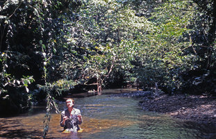 Patrick Blanc in a forest stream, Gunung Mulu NP, Borneo, July 2005
