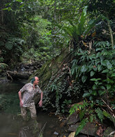 Patrick Blanc in a forest stream to observe the climbing monopodial stems of Piper majusculum, Waisia waterfall, Seram, Moluccas, April 2024