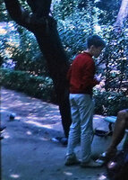 Patrick Blanc in a public garden, Blanes, Spain, Aug. 1966
