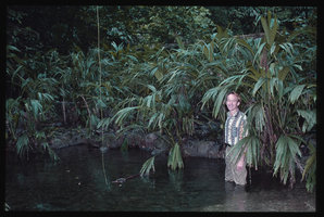 Patrick Blanc in a rheophytic Dicranopygium habitat, El Jaguar, Venezuela, March 1999