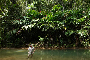 Patrick Blanc in a river bed under the clumps on the vertical banks of the huge native Alpinia purpurata, Tenaru Falls, Guadalcanal, Solomon Islands, Sept. 2019