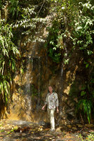 Patrick Blanc in a small waterfall among Pitcairnia, Begonia, Anthurium and Piper, Villavicencio, Meta, Colombia, Nov.. 2016
