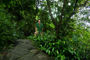 Patrick Blanc in a vegetative clump of Ficus subulata covering a rock close to a waterfall, Yangtai Shan, Shenzhen, China, July 2017