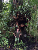 Patrick Blanc in coastal fresh swamp forest, Arusi, Nuqui, Choco, Colombia, Nov. 2016