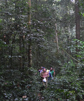 Patrick Blanc in forest with guides and students in Master, Kribi, Cameroun, March 2017