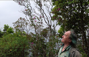 Patrick Blanc in front of an much branched tree of Osbeckia reticulata, Eravikulam NP, Kerala, India, Jan. 2023