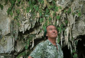 Patrick Blanc in front of a population of the narrow endemic Monophyllaea pendula on stalactites at the entrance of Clearwater cave, Gunung Mulu NP, Sarawak, Borneo, Sept. 2018