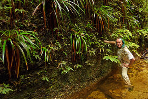 Patrick Blanc in front of a seeping vertical granitic cliff covered with Xyris grandis, Selaginella sp. and Phyllagathis cf. tuberculata, Harau valley, Sumatra, Dec. 2016