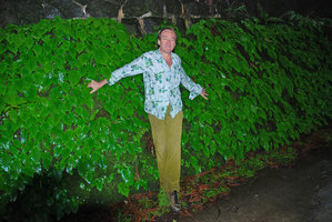 Patrick Blanc in front of a stone wall covered by Conandron ramondioides, Hakone, Japan, June 2008