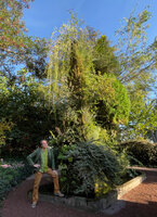 Patrick Blanc in front of his 29 years old Vertical Garden, Chaumont sur Loire, France, Sept. 2022