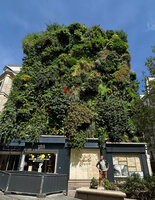 Patrick Blanc in front of his Oasis d&#039;Aboukir vertical garden, Paris, May 2023