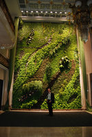 Patrick Blanc in front of his Orchid Wild Dance, National Theater, Taipeh, Taiwan, Dec. 2009