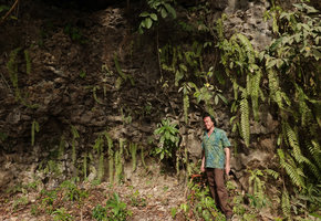 Patrick Blanc in front of Nephrolepis fronds covering a shaded karst cliff, Rammang Rammang, Maros, South Sulawesi, June 2019