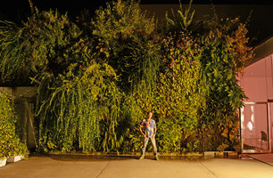 Patrick Blanc in front of the Green Bridge at night, Kanazawa, Sept. 2012
