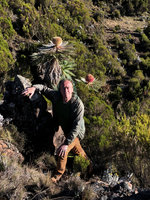 Patrick Blanc in front of the huge flower heads of Echinops longisetus, base of Sanetti Plateau, Bale NP, Ethiopia, Jan. 2019