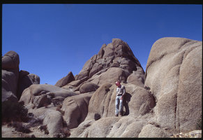 Patrick Blanc in Joshua tree NP,California, 2002