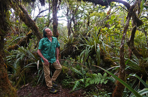 Patrick Blanc in mossy forest among the low epiphytic Astelia hemichrysa, Bebour forest, Reunion, July 2024