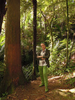 Patrick Blanc in New Zealand forest understory, Dec 2012