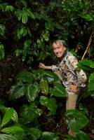 Patrick Blanc in Pentastemona egregia habitat, among Elatostema and Schismatoglottis species, Anai Valley, West Sumatra, Dec. 2016