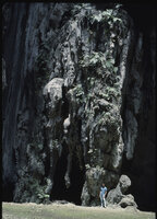 Patrick Blanc inside Batu Caves, Malaysia, Aug. 1984