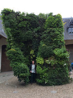 Patrick Blanc inside his green spiral, Chaumont sur Loire, France, May 2015