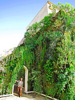 Patrick Blanc inside his Muharraq Green Gate, Bahrain, Oct. 2013