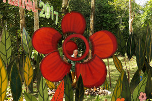 Patrick Blanc inside the flower sculpture of the iconic Rafflesia kerrii, Khao Sok NP, Thailand, March 2017
