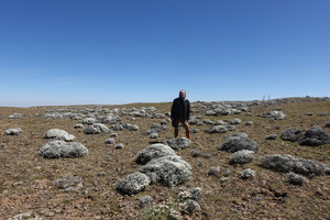 Patrick Blanc in the afroalpine steppe, between big cushions of Helichrysum citrispinum, Sanetti Plateau, Bale NP, Ethiopia, Jan. 2019