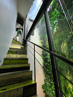 Patrick Blanc in the green stairs close to his green wall, Istanbul, Sept. 2021