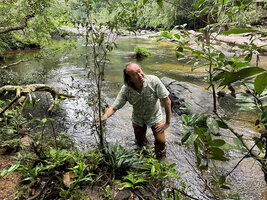Patrick Blanc in the habitat of Lagenandra thwaitesii, a rheophytic species from vertical forest river banks, Sinharaja, Sri Lanka, Nov. 2024