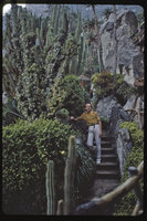 Patrick Blanc in the Jardin Exotique, Monaco, 1982
