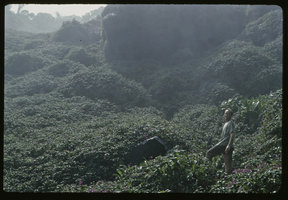 Patrick Blanc in the mist of the Ekom waterfall surroundings, Cameroon, 1991