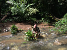 Patrick Blanc in the rheophytic habitat of Dicranopygium cf. testaceum,Terco, Nuqui, Choco, Colombia, Nov. 2016