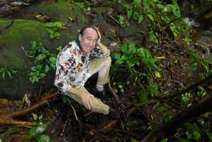 Patrick Blanc in the rocky and mossy habitat of Pentastemona egregia, close to a small forest stream, Anai Valley, West Sumatra, Dec. 2016