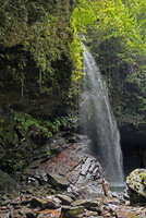 Patrick Blanc in the spray of Waisia waterfall, the habitat of Begonia sp, Seram, Moluccas, April 2024