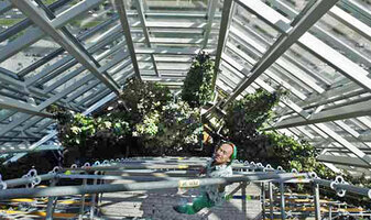 Patrick Blanc in the Torre de Cristal atrium, Madrid