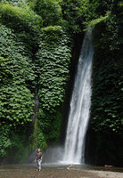 Patrick Blanc in the waterfall spray among Elatostema, Munduk, Bali