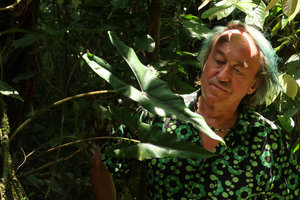 Patrick Blanc intrigued by Alocasia princeps, Gunung Mulu NP, Sarawak, Borneo, Sept. 2018